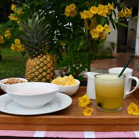 パナマ・シティー Casa Andrea Bed & Breakfast エクステリア 写真